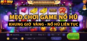 Tổng Hợp Kinh Nghiệm Cá Cược Tại NOHU90 - GOJIXE