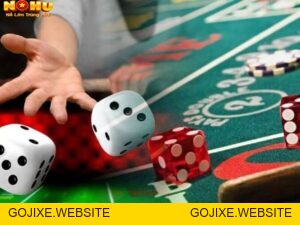 Tổng Hợp Kinh Nghiệm Cá Cược Tại NOHU90 - GOJIXE