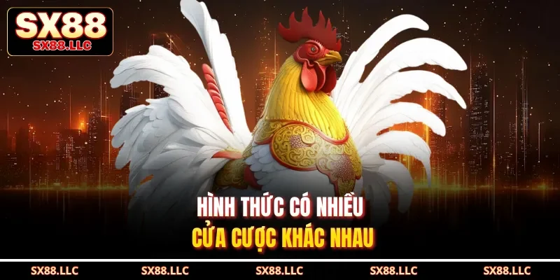 Đá Gà SX88 Mang Đến Những Trận Đấu Gay Cấn, Mãn Nhãn - GOJIXE