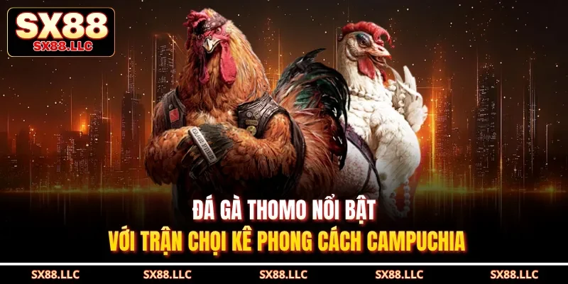 Đá Gà Tre Sx88 - Khám Phá Trận Đấu Kịch Tính, Chân Thực - GOJIXE