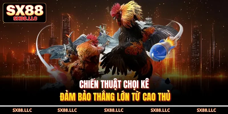Đá Gà Tre Sx88 - Khám Phá Trận Đấu Kịch Tính, Chân Thực - GOJIXE