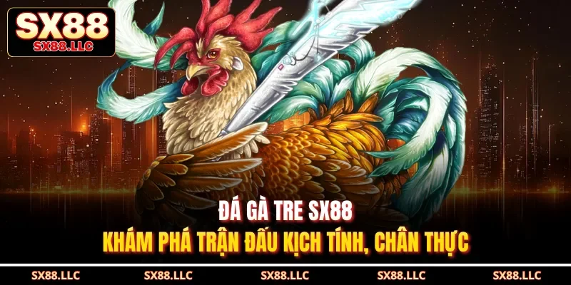 Đá Gà SX88 Mang Đến Những Trận Đấu Gay Cấn, Mãn Nhãn - GOJIXE