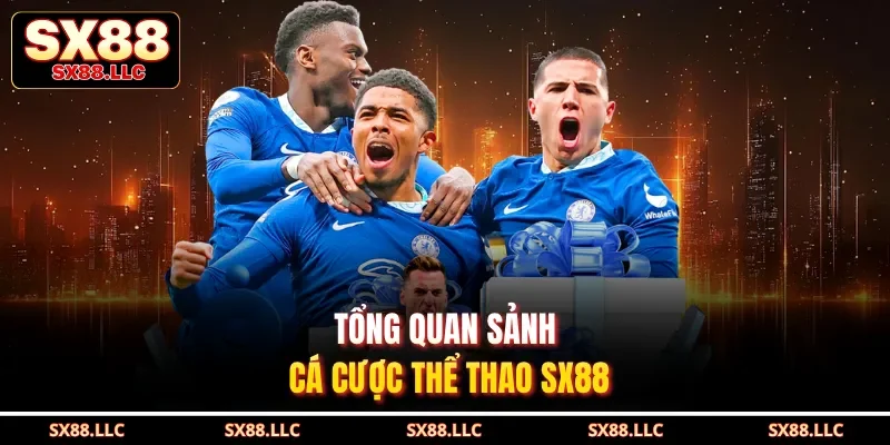 Thể Thao SX88 Và 5 Ưu Điểm Vượt Trội Thu Hút Người Chơi - GOJIXE