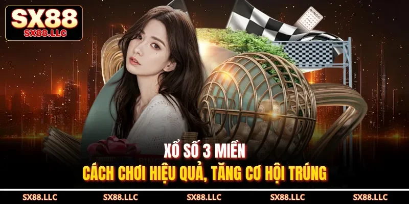 Xổ Số Mega Và 5 Bí Quyết Đặt Cược Giúp Bạn Luôn Thắng Lớn - GOJIXE
